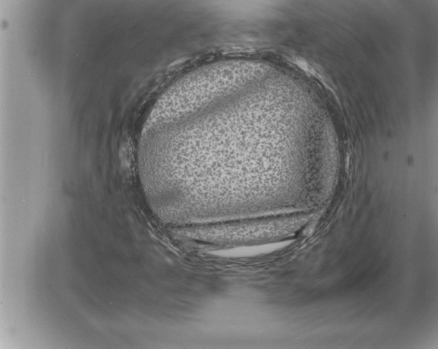X0000086311445200704271840