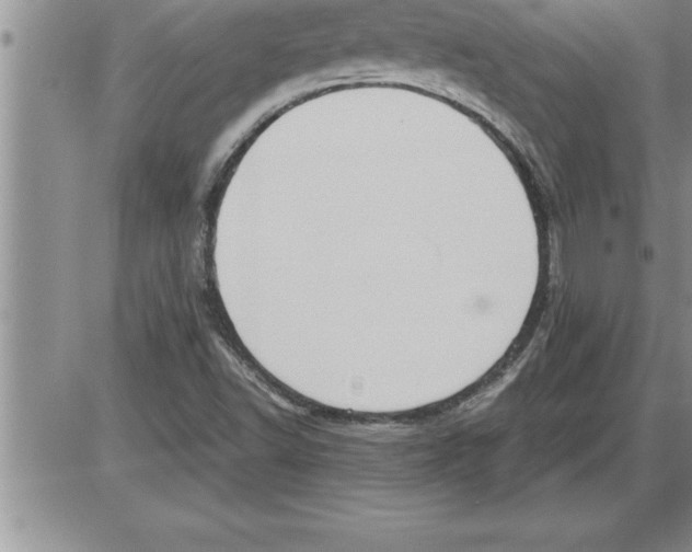 X0000086311502200704271839