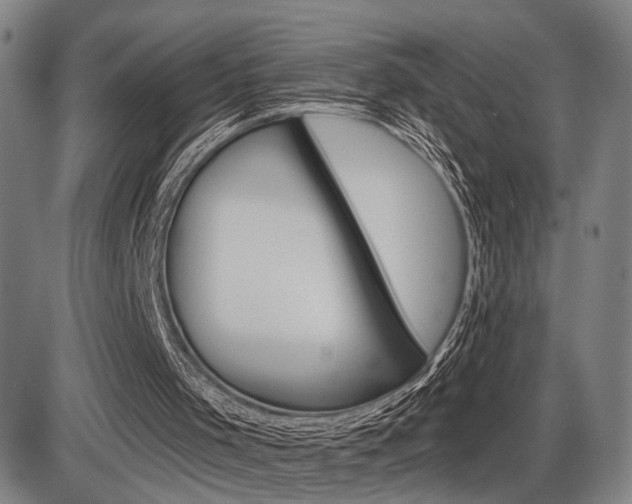 X0000086320001200703300917