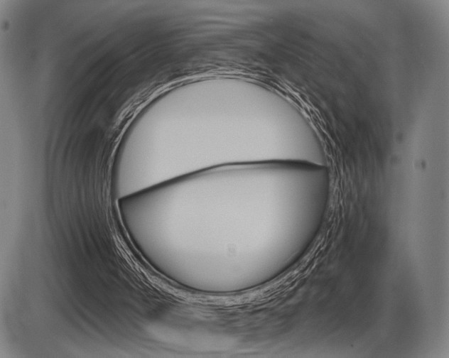 X0000086320002200703300917
