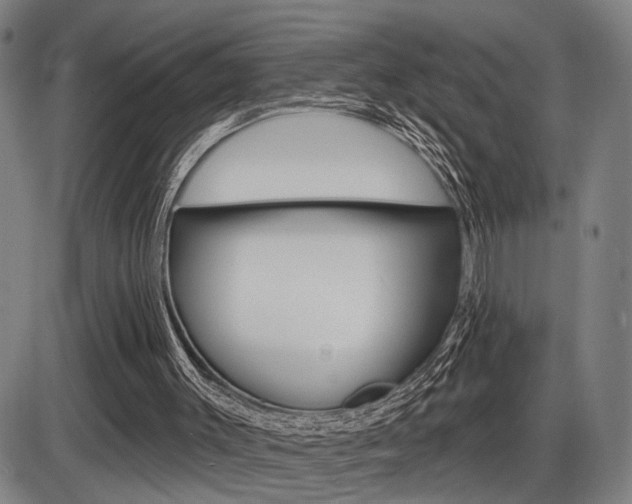 X0000086320003200703300917
