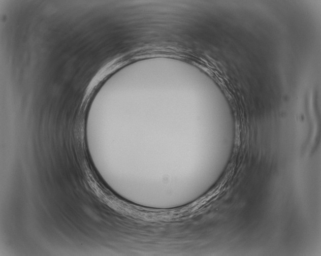 X0000086320004200703300917