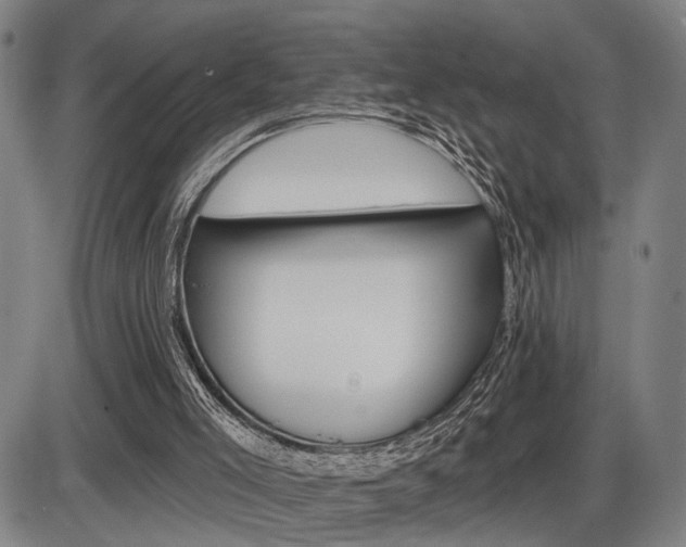 X0000086320005200703300917