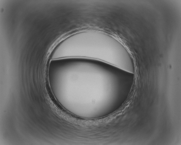 X0000086320007200703300917