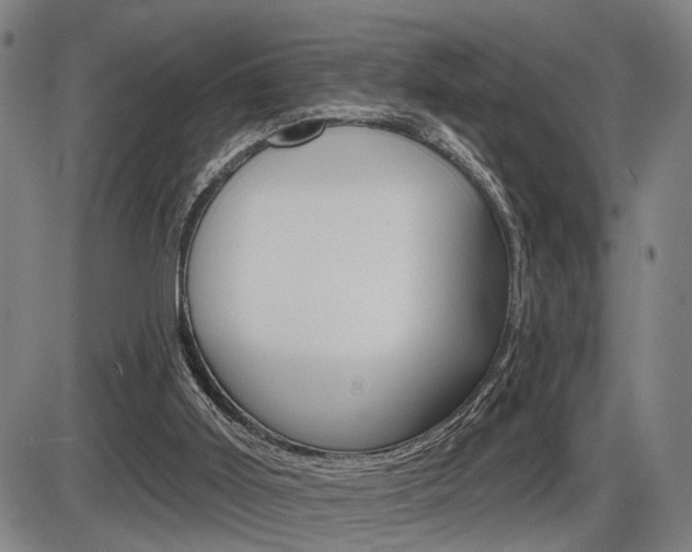 X0000086320011200703300917