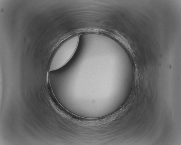 X0000086320013200703300917