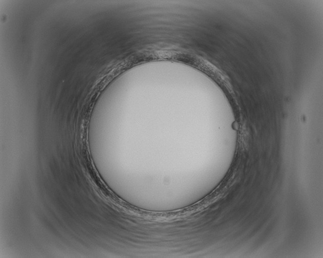 X0000086320018200703300917