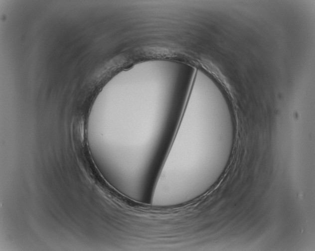 X0000086320021200703300917