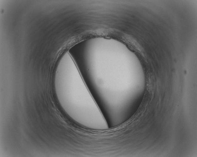 X0000086320023200703300917