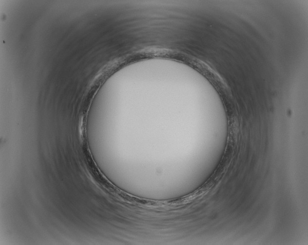 X0000086320024200703300917