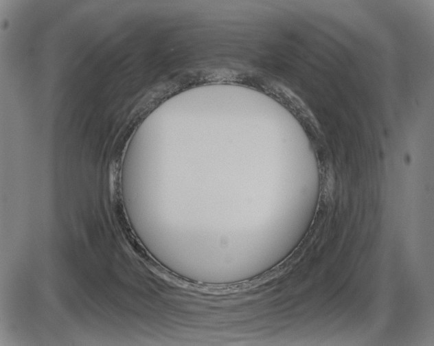 X0000086320026200703300917
