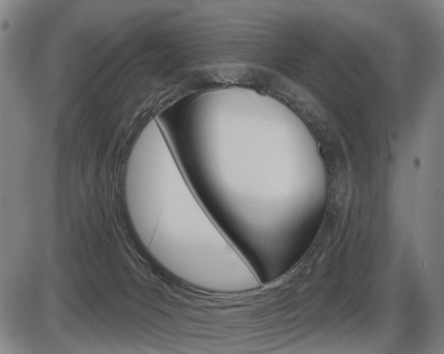X0000086320031200703300916