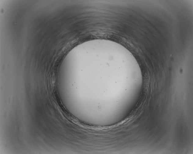 X0000086320040200703300916