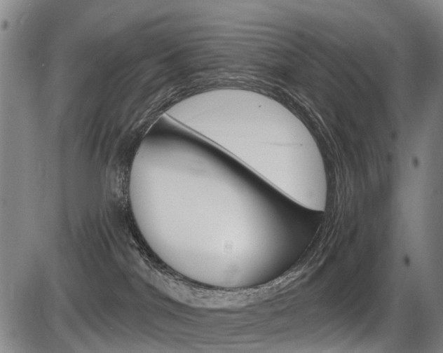 X0000086320044200703300916