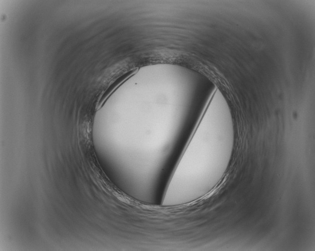 X0000086320045200703300916