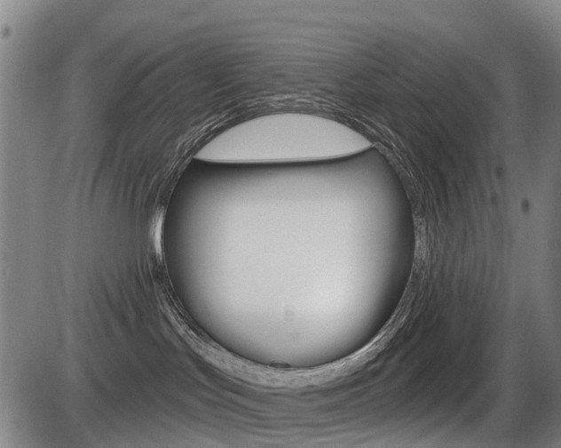 X0000086320047200703300916