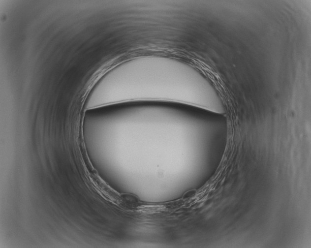 X0000086320051200703300915