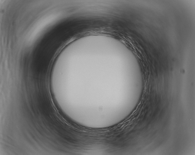 X0000086320052200703300915