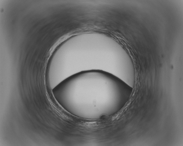 X0000086320054200703300915