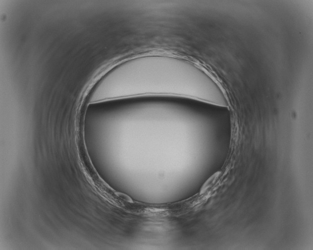 X0000086320055200703300915