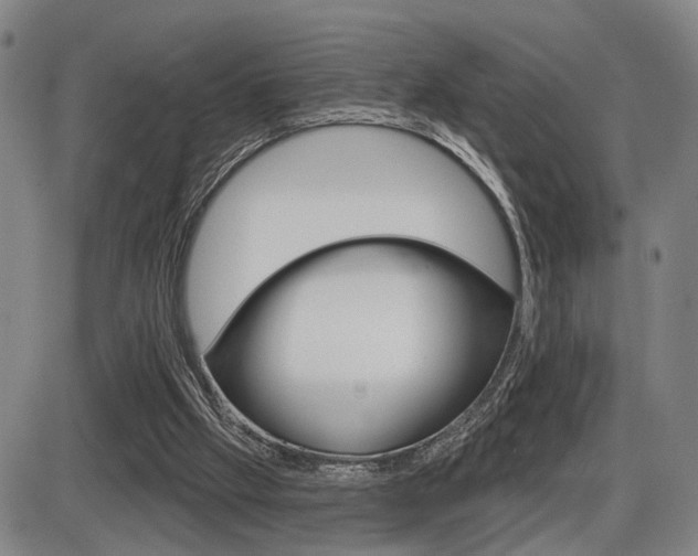 X0000086320057200703300915