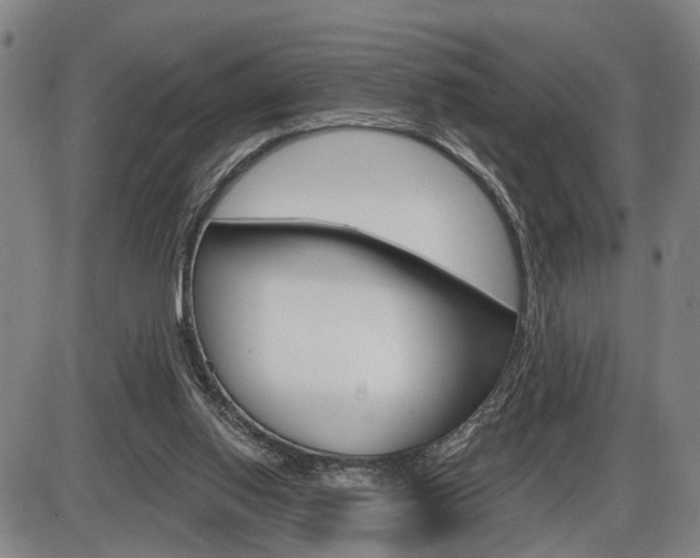 X0000086320062200703300916