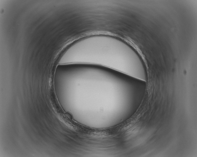 X0000086320063200703300916