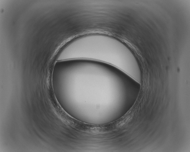 X0000086320064200703300916