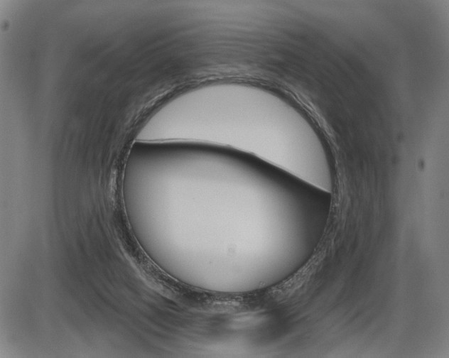 X0000086320066200703300916
