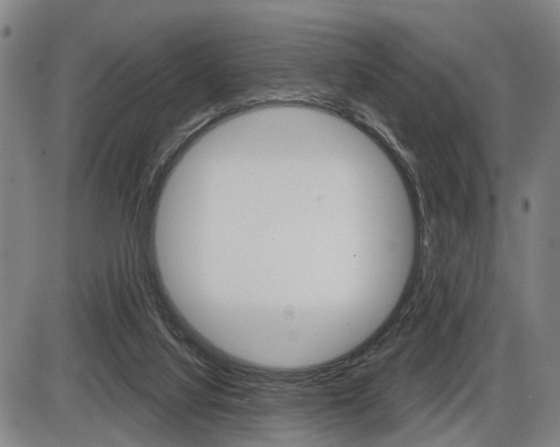 X0000086320068200703300916