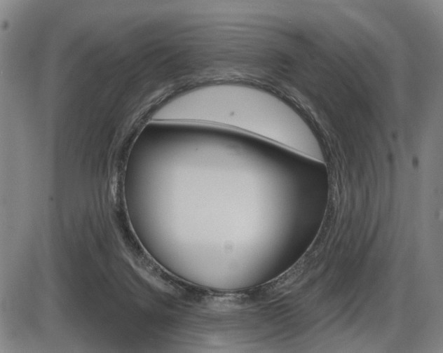X0000086320072200703300916
