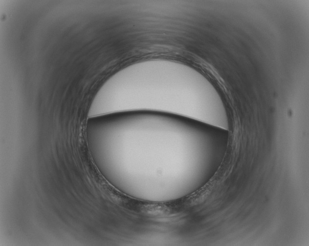 X0000086320073200703300916