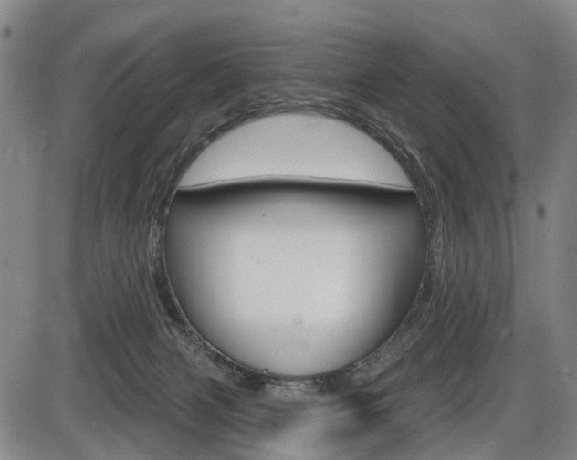 X0000086320079200703300916