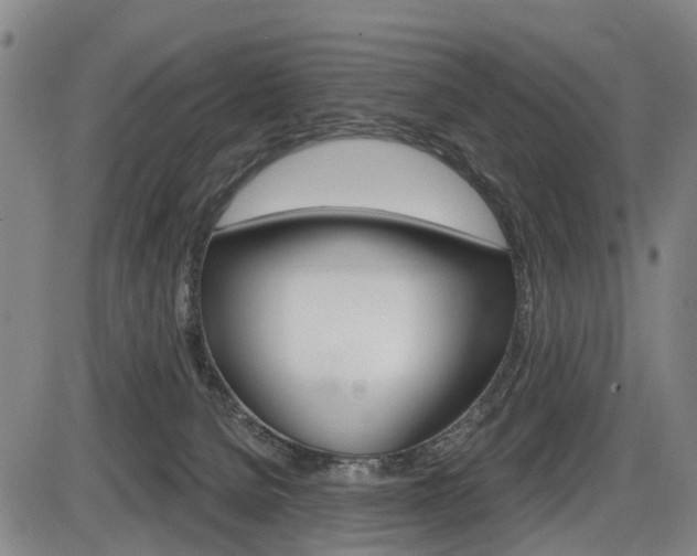 X0000086320080200703300916