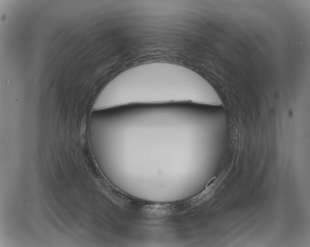 X0000086320082200703300916