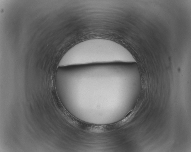 X0000086320086200703300916