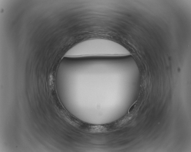X0000086320087200703300916