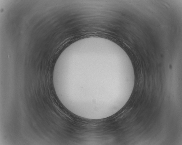 X0000086320092200703300916