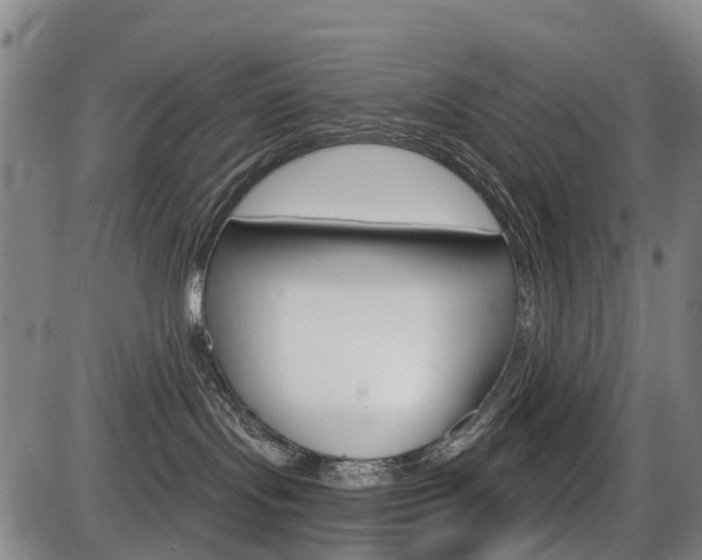 X0000086320095200703300916