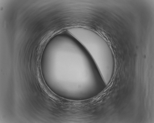 X0000086320097200703300915