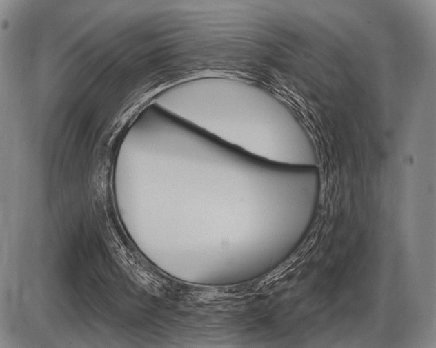 X0000086320098200703300915