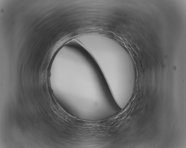 X0000086320099200703300915