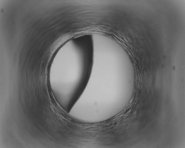 X0000086320100200703300915