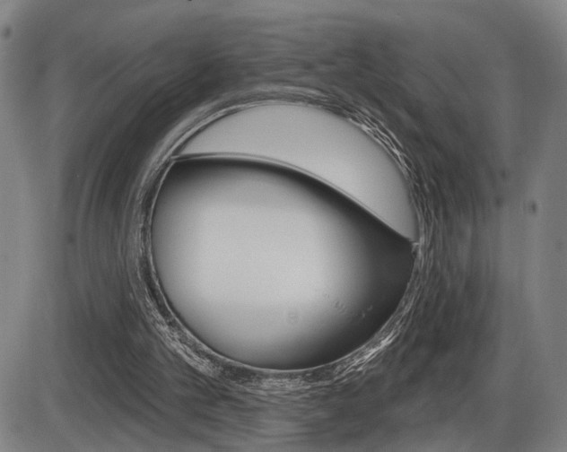 X0000086320101200703300915