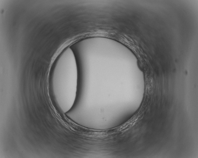 X0000086320102200703300915