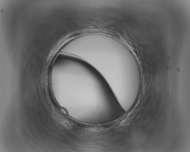 X0000086320103200703300915