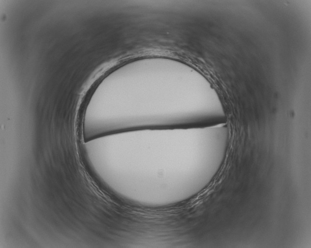 X0000086320104200703300915
