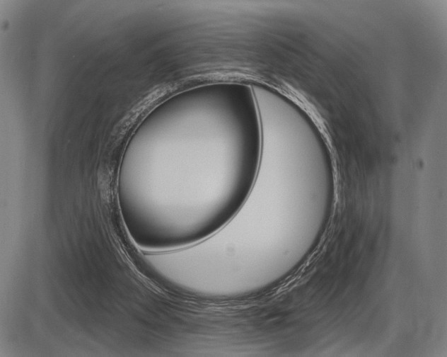 X0000086320105200703300915