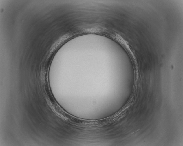 X0000086320106200703300915