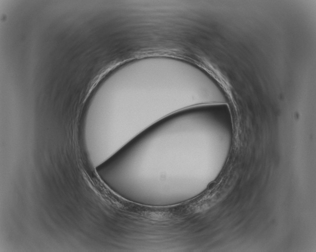 X0000086320107200703300915